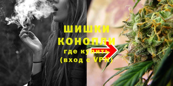 сатива Аркадак