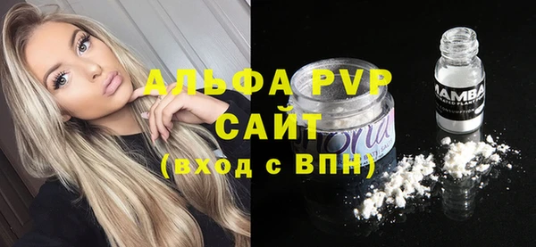 сатива Аркадак